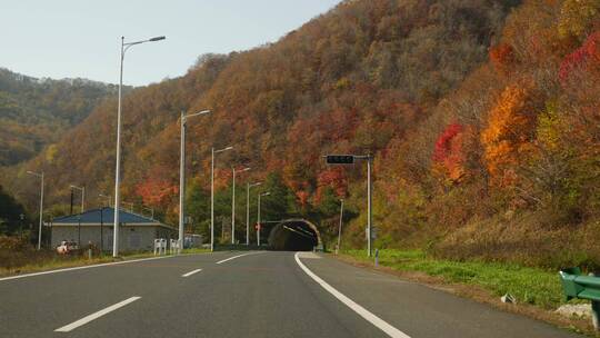 秋天东北公路风光