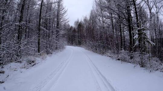 行驶在大兴安岭森林雪路上