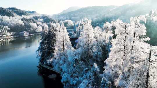 雾凇 森林 雪景