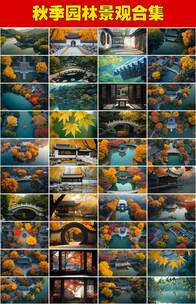 秋日古风园林景观中式园林古风古色秋季美景高清在线视频素材下载