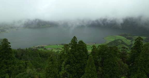 树，山，村庄，湖