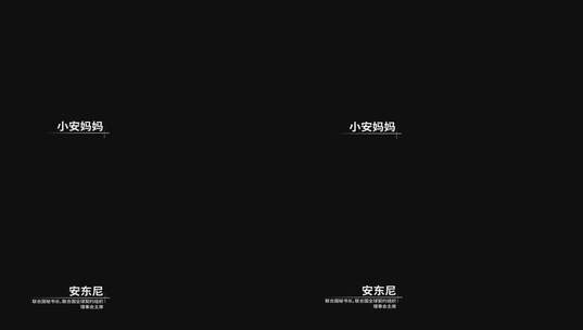 简洁简约字幕人名条