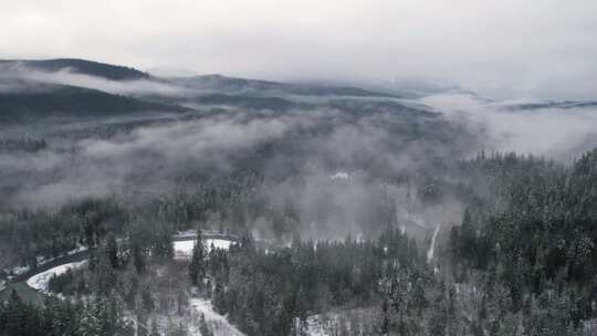 山，冬天，雪，树