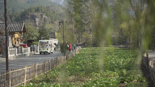 旅游区郊区田园风光游客