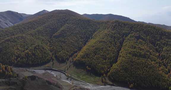 新疆松海湾景区秋色