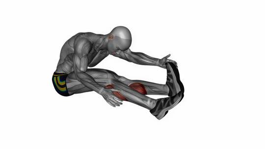 坐直腿伸小腿健身运动3D演示动画