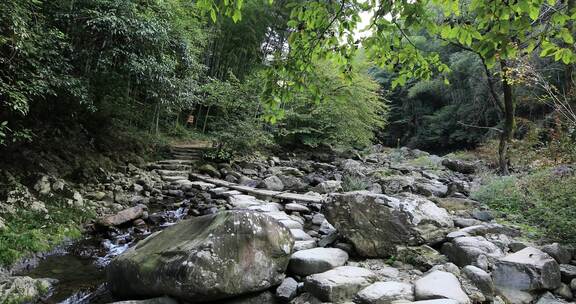 森林山涧溪流 浙东小九寨 白岩溪 芝林景区