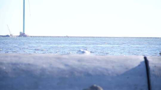 海鸥 海边 海平线 日出 群鸟 大海