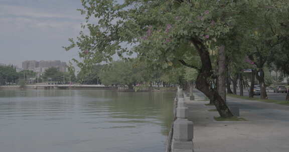 惠州水东街街景