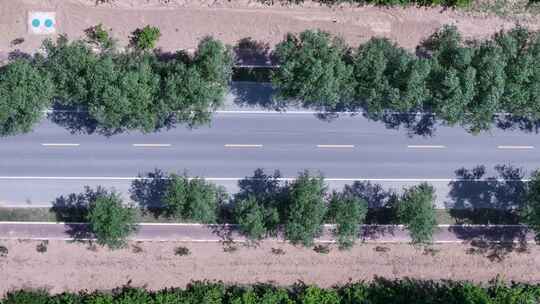 俯瞰绿树道路绿化