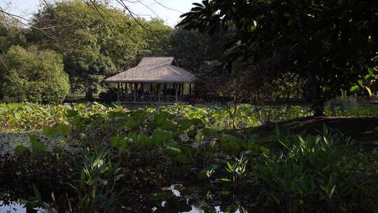 杭州西湖十景茅家埠水乡风景