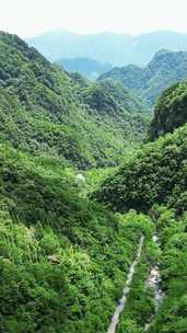 竖版航拍湖北神农架官门山景区