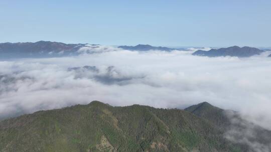 山顶早晨云海实拍