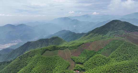 中国浙江杭州径山竹山竹林竹海大气治愈