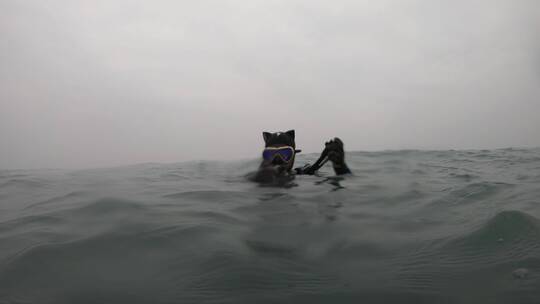 雷州潜水员水中画面视频素材模板下载