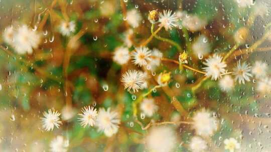 玻璃上的雨滴