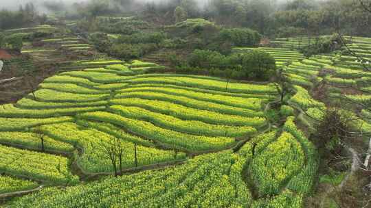 航拍灵山梯田