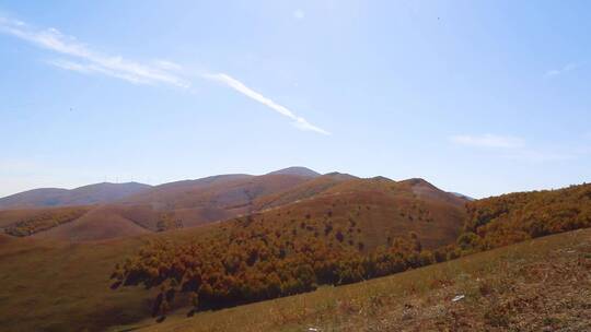 初秋实拍山顶蓝天白云树林和大风车