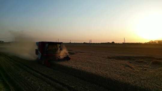 现代化机械迎着朝阳收割小麦