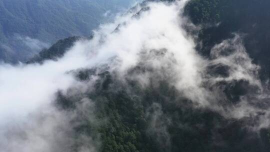 山区大山脉深林云雾缭绕高山顶清晨山村云海