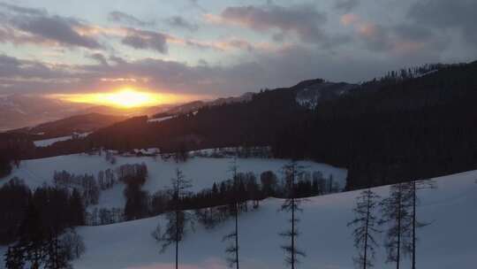 雪，傍晚，山，树