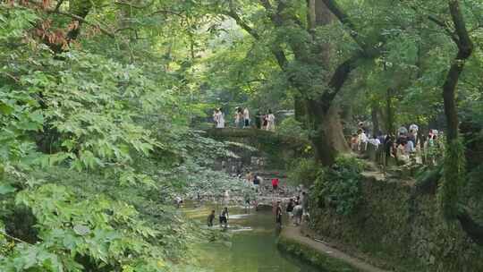 国清寺丰干古桥上游客特写，镜头推进