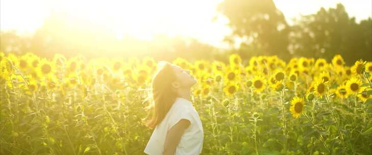 向日葵花海中的美女