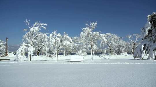 雪景 下雪一角 城市下雪 唯美的雪景