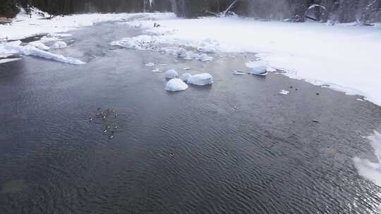 冬季喀纳斯晨雾雪蘑菇雾凇冰河野鸭雪山森林