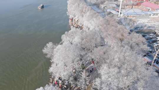 雾凇江面游船游人鸟松花江奇观东北旅游冬季