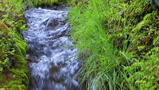大自然中的小溪流水视频素材模板下载
