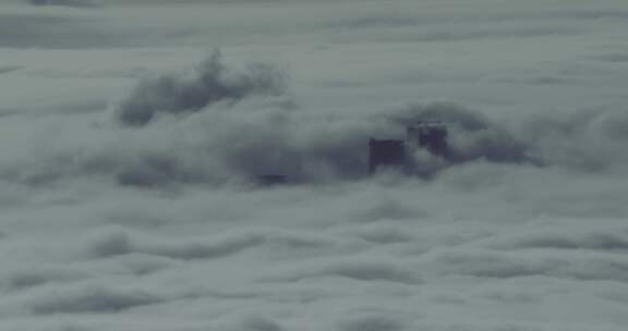 城市云海平流雾