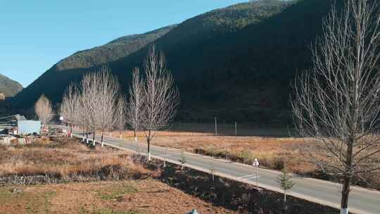 山边乡村道路的自然风光