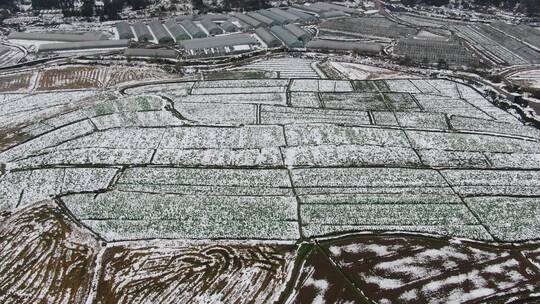 航拍 南方 冬天 雪景 世界