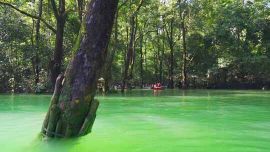 森林河流水上森林贵州旅游风光