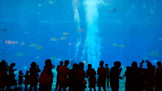 海底世界海洋馆游客剪影 水族馆 海底世界视频素材模板下载