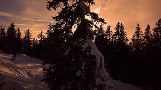 夕阳下人们在山上滑雪