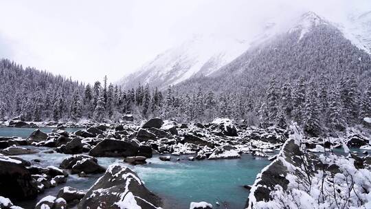 西藏然乌湖冬天雪山森林冰河雾凇冰雪风景