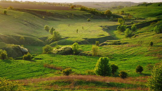 山谷和丘陵被绿植覆盖
