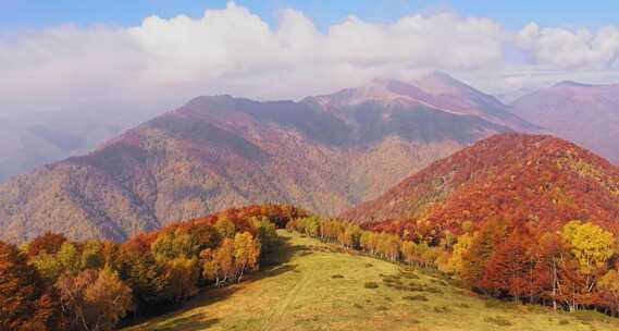 航拍秋季森林香山红叶秋天景色