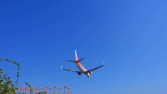 奥凯航空  飞机 航班 飞机降落 厦门  机场