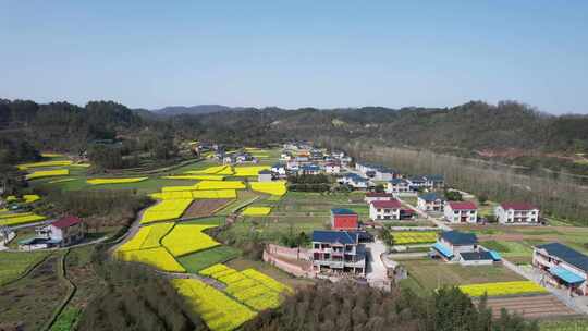 美丽乡村田园油菜花丘陵山川航拍