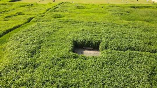 二里头夏都遗址博物馆