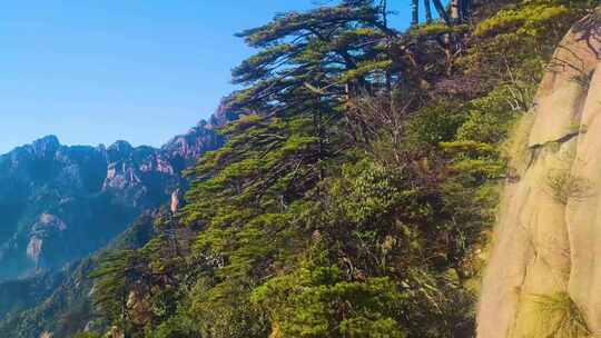 安徽黄山风景视频素材