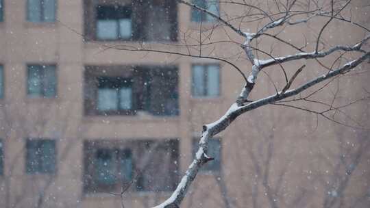 下雪升格雪花慢镜头