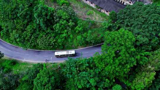 大自然森林旅游客车