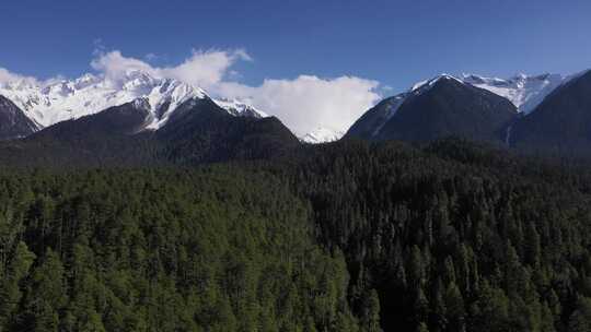 西藏林芝蓝天白云雪山和森林