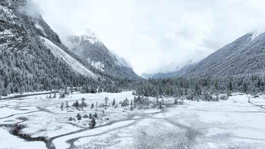 西藏林芝巴松措雪山森林雪地的林海雪原风光