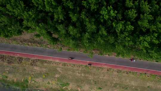 森林大自然树林氧吧森林空气环保大自然树林