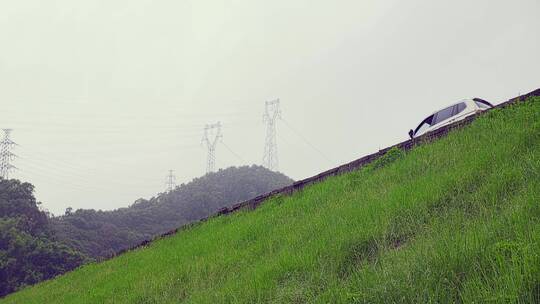 清晨雨后公园两颗榕树下草地露营空景